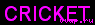 Cricket3
